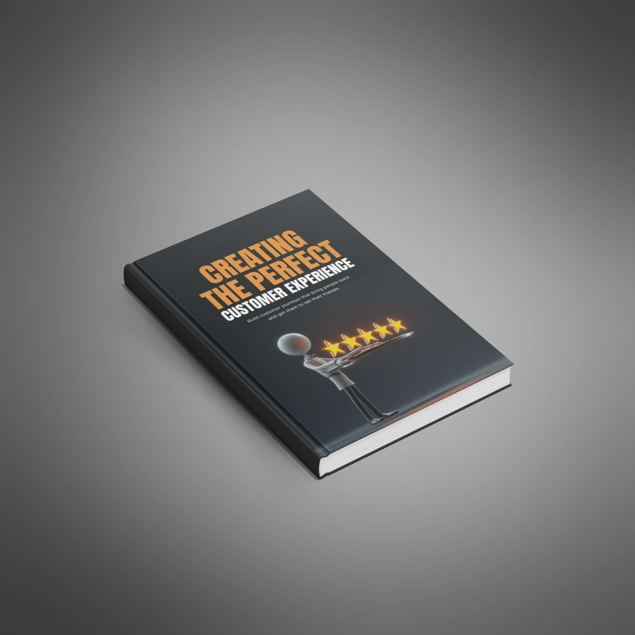 Creating the Perfect Customer Experience